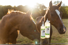 Afbeelding in Gallery-weergave laden, Reva Lotion