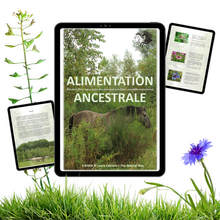 Afbeelding in Gallery-weergave laden, OERVOER (E-BOOK)