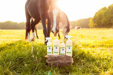 Afbeelding in Gallery-weergave laden, Zoem Spray