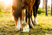 Laden Sie das Bild in den Galerie-Viewer, CPL olie The Natural Way Laura Cleirens, 100 % natuurlijk en duurzaam product ter behandeling van alle CPL stadia Chronisch Progressief Lymfoedeem, huidplooien rimpels wondjes soepel lymfestelsel circulatie parasieten mijten, compleet verzorgingsproduct voor alle CPL stadia