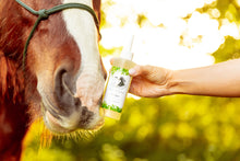 Laden Sie das Bild in den Galerie-Viewer, CPL olie The Natural Way Laura Cleirens, 100 % natuurlijk en duurzaam product ter behandeling van alle CPL stadia Chronisch Progressief Lymfoedeem, huidplooien rimpels wondjes soepel lymfestelsel circulatie parasieten mijten, compleet verzorgingsproduct voor alle CPL stadia