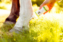 Laden Sie das Bild in den Galerie-Viewer, CPL olie The Natural Way Laura Cleirens, 100 % natuurlijk en duurzaam product ter behandeling van alle CPL stadia Chronisch Progressief Lymfoedeem, huidplooien rimpels wondjes soepel lymfestelsel circulatie parasieten mijten, compleet verzorgingsproduct voor alle CPL stadia