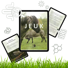 Afbeelding in Gallery-weergave laden, JEUK (E-BOOK)