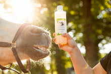 Laden Sie das Bild in den Galerie-Viewer, Natuur Shampoo The Natural Way Laura Cleirens, 100 % natuurlijke shampoo voor paarden met jeuk zomereczeem mok CPL, aloë vera en etherische olie, duurzaam en huidvriendelijk, alle huidtypes, gevoelige huid
