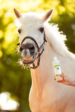 Laden Sie das Bild in den Galerie-Viewer, Natuur Shampoo The Natural Way Laura Cleirens, 100 % natuurlijke shampoo voor paarden met jeuk zomereczeem mok CPL, aloë vera en etherische olie, duurzaam en huidvriendelijk, alle huidtypes, gevoelige huid