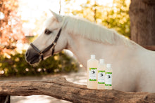 Laden Sie das Bild in den Galerie-Viewer, Natuur Shampoo The Natural Way Laura Cleirens, 100 % natuurlijke shampoo voor paarden met jeuk zomereczeem mok CPL, aloë vera en etherische olie, duurzaam en huidvriendelijk, alle huidtypes, gevoelige huid