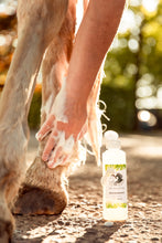 Laden Sie das Bild in den Galerie-Viewer, Natuur Shampoo The Natural Way Laura Cleirens, 100 % natuurlijke shampoo voor paarden met jeuk zomereczeem mok CPL, aloë vera en etherische olie, duurzaam en huidvriendelijk, alle huidtypes, gevoelige huid