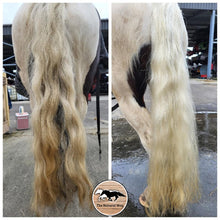 Laden Sie das Bild in den Galerie-Viewer, Natuur Shampoo The Natural Way Laura Cleirens, 100 % natuurlijke shampoo voor paarden met jeuk zomereczeem mok CPL, aloë vera en etherische olie, duurzaam en huidvriendelijk, alle huidtypes, gevoelige huid