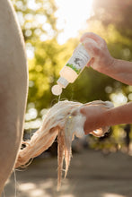 Laden Sie das Bild in den Galerie-Viewer, Natuur Shampoo The Natural Way Laura Cleirens, 100 % natuurlijke shampoo voor paarden met jeuk zomereczeem mok CPL, aloë vera en etherische olie, duurzaam en huidvriendelijk, alle huidtypes, gevoelige huid