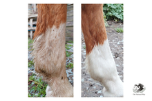 Laden Sie das Bild in den Galerie-Viewer, Natuur Shampoo The Natural Way Laura Cleirens, 100 % natuurlijke shampoo voor paarden met jeuk zomereczeem mok CPL, aloë vera en etherische olie, duurzaam en huidvriendelijk, alle huidtypes, gevoelige huid, zilver shampoo, maakt wit