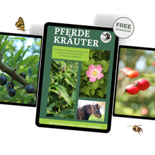 Afbeelding in Gallery-weergave laden, PAARDENKRUIDEN (E-BOOK)