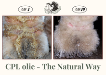 Laden Sie das Bild in den Galerie-Viewer, CPL olie The Natural Way Laura Cleirens, 100 % natuurlijk en duurzaam product ter behandeling van alle CPL stadia Chronisch Progressief Lymfoedeem, huidplooien rimpels wondjes soepel lymfestelsel circulatie parasieten mijten, compleet verzorgingsproduct voor alle CPL stadia