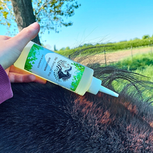Load image into Gallery viewer, Maak kennis met Reva Lotion: onze krachtigste formule voor paarden met extreem hevige jeuk. Kracht uit de natuur, zacht voor de huid.
Reva Lotion van The Natural Way is een 100 % natuurlijk en duurzaam product dat werd ontworpen ter ondersteuning van paarden met ernstige jeuk en huidklachten zoals zomereczeem (SME).
