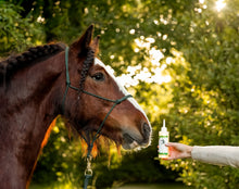Laden Sie das Bild in den Galerie-Viewer, CPL olie The Natural Way Laura Cleirens, 100 % natuurlijk en duurzaam product ter behandeling van alle CPL stadia Chronisch Progressief Lymfoedeem, huidplooien rimpels wondjes soepel lymfestelsel circulatie parasieten mijten, compleet verzorgingsproduct voor alle CPL stadia