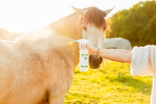 Afbeelding in Gallery-weergave laden, Zoem Spray The Natural Way 100 % natuurlijke insectwerende vacht spray voor paarden, maakt onaantrekkelijk en beschermd tegen insecten, teken, vliegen, muggen, knutten, cullicoides, zomereczeem, jeuk bij paarden