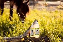 Afbeelding in Gallery-weergave laden, Zomereczeem lotion The Natural Way Laura Cleirens 100 % natuurlijk product duurzaam Zomereczeem schuren jeuk paard manen en staart eczeem SME