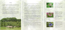 Afbeelding in Gallery-weergave laden, Oervoer - gezonde voeding voor jeukgevoelige paarden, The Natural Way Laura Cleirens E-book, cursus natuurlijke gezonde voeding voor paarden, zomereczeem jeuk mok CPL chronisch progressief lymfoedeem, kruiden, ruwvoer, krachtvoer, balancer, darmflora, luzerne, organen