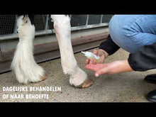 Laden und Abspielen von Videos im Galerie-Viewer, CPL Öl