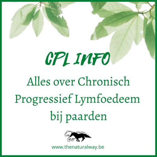 CPL WEEK 2023
