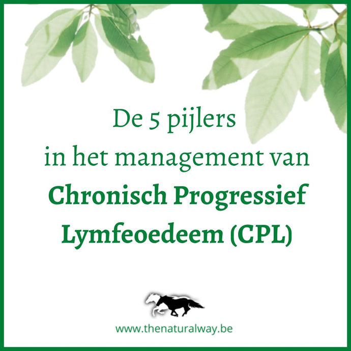De 5 pijlers in het management van Chronisch Progressief Lymfoedeem (CPL)
