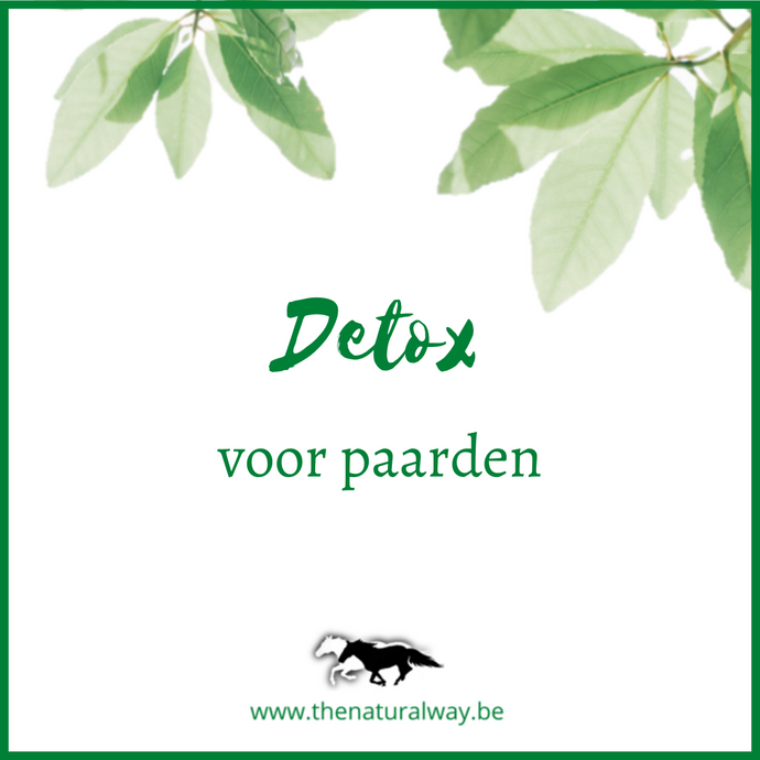 Detox for horses