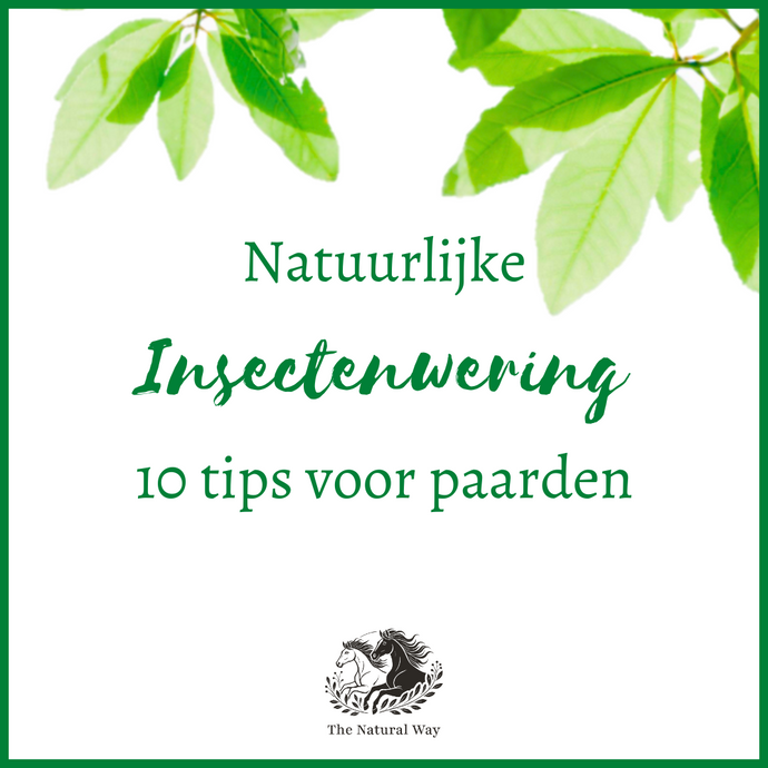 Natuurlijke insectenwering voor paarden: 10 tips