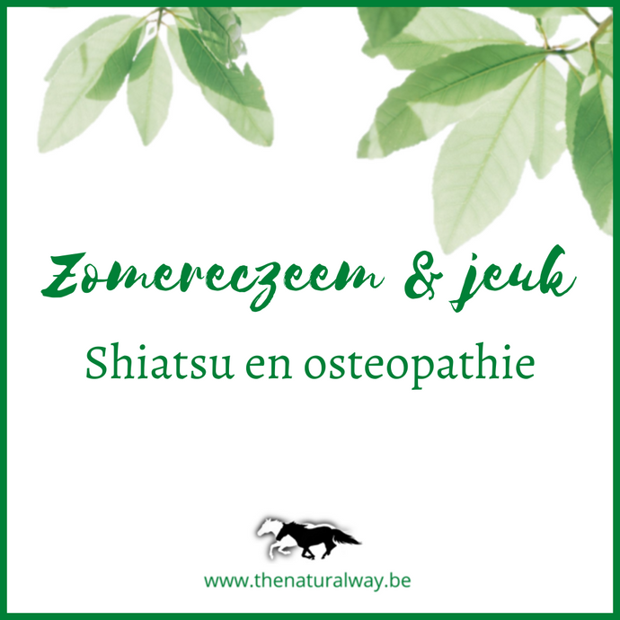 Shiatsu and osteopathy for horses with sweet itch 