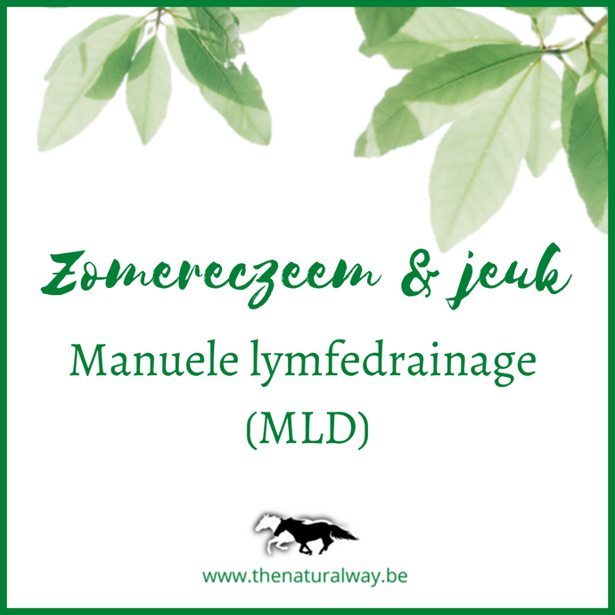Manual lymphatic drainage (MLD) for horses with sweet itch