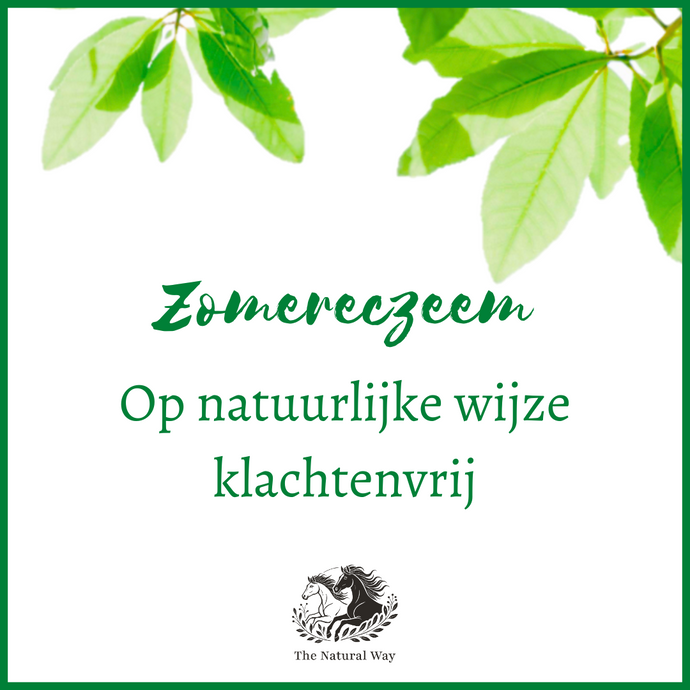 Zomereczeem - op natuurlijke wijze klachtenvrij