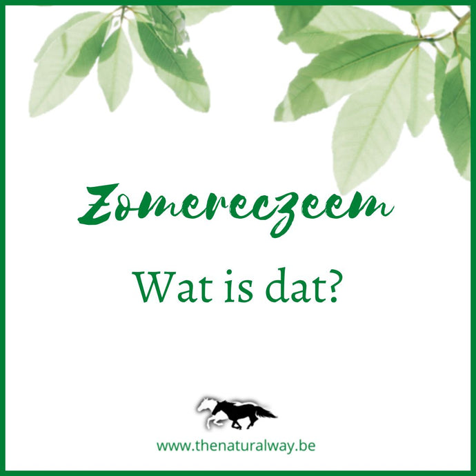 Was ist Sommerekzem bei Pferden?