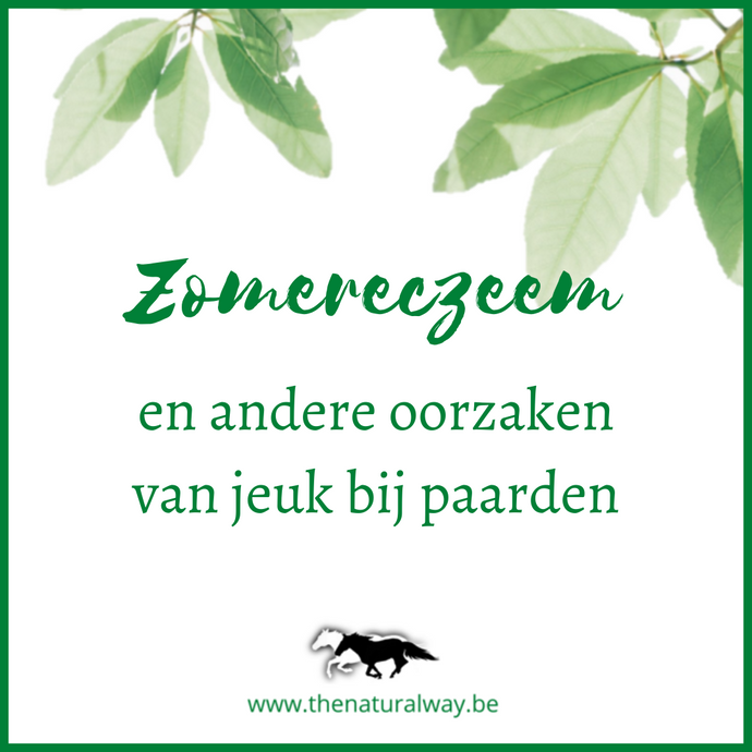 Zomereczeem en andere oorzaken van jeuk bij paarden