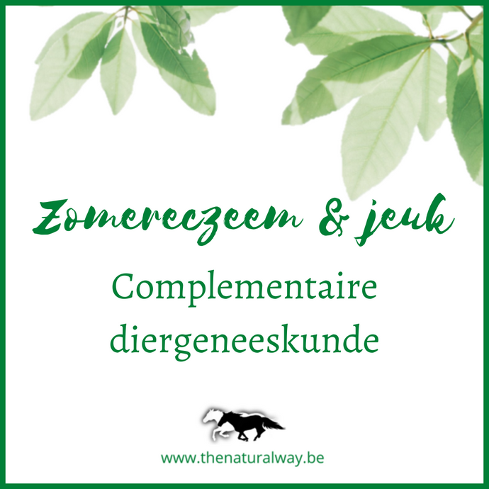 Complementary veterinary medicine for horses with sweet itch
