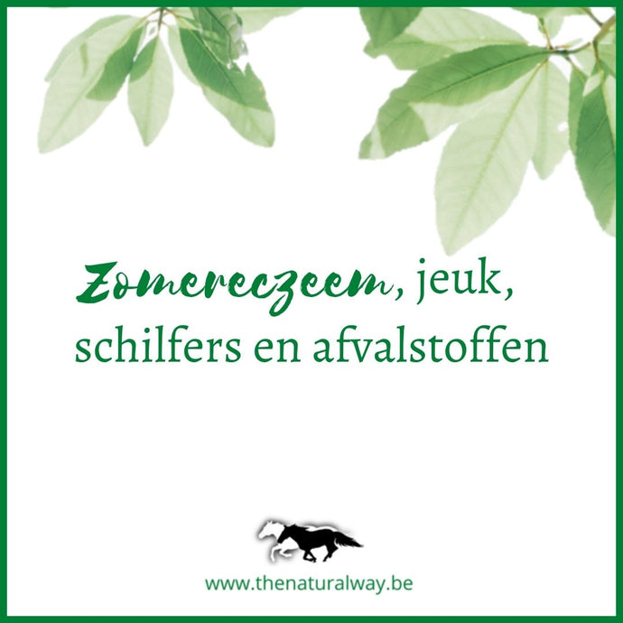 Sommerekzem, Juckreiz, Schuppenbildung und Abfallprodukte