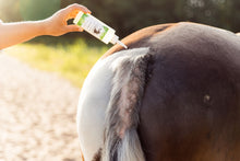 Afbeelding in Gallery-weergave laden, Reva Lotion
