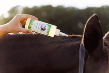 Afbeelding in Gallery-weergave laden, Reva Lotion
