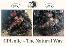 Laden Sie das Bild in den Galerie-Viewer, CPL olie The Natural Way Laura Cleirens, 100 % natuurlijk en duurzaam product ter behandeling van alle CPL stadia Chronisch Progressief Lymfoedeem, huidplooien rimpels wondjes soepel lymfestelsel circulatie parasieten mijten, compleet verzorgingsproduct voor alle CPL stadia
