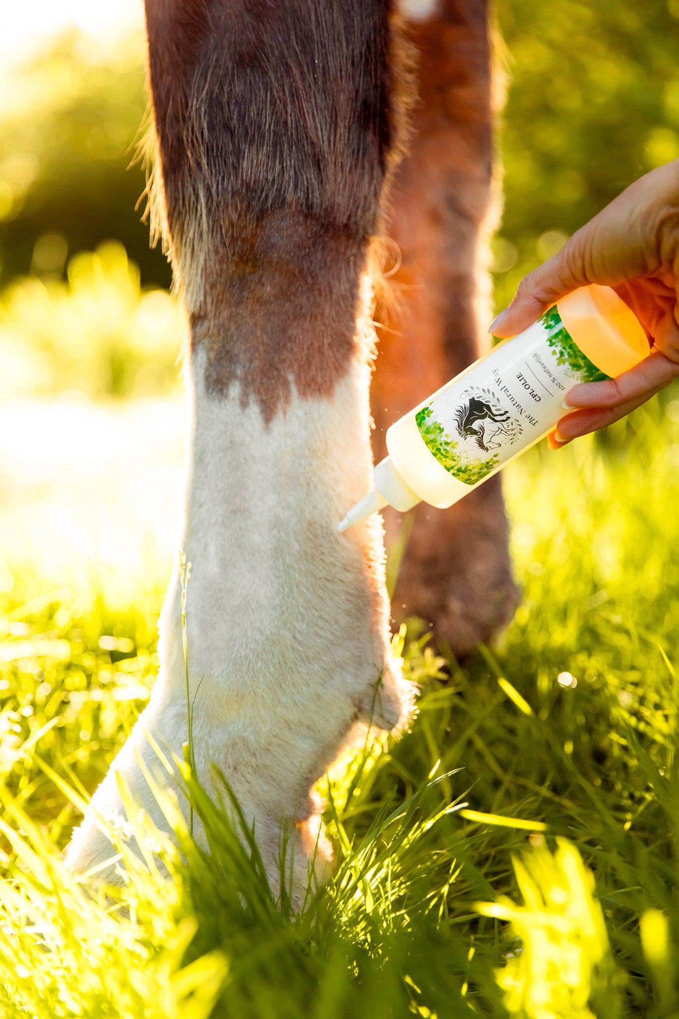 CPL Oil – The Natural Way