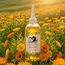 Laden Sie das Bild in den Galerie-Viewer, Calendula Gold van The Natural Way is een huidverzorgingsproduct voor paarden, op basis van Goudsbloem olie 
