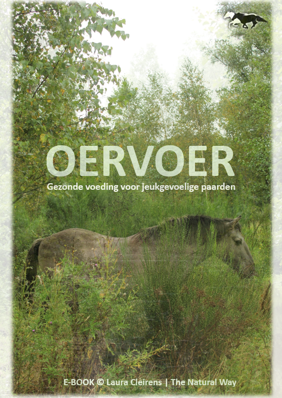 Oervoer - gezonde voeding voor jeukgevoelige paarden, The Natural Way Laura Cleirens E-book, cursus natuurlijke gezonde voeding voor paarden, zomereczeem jeuk mok CPL chronisch progressief lymfoedeem, kruiden, ruwvoer, krachtvoer, balancer, darmflora, luzerne, organen