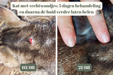 Afbeelding in Gallery-weergave laden, Calendula Gold van The Natural Way is een huidverzorgingsproduct voor paarden, op basis van Goudsbloem olie en toegevoegde vitamine E 
