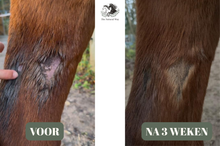 Charger l'image dans la galerie, Mok olie The Natural Way Laura Cleirens, 100 % natuurlijk duurzaam product middel oplossing voor paarden met mok, rasp, regenschurft, rainrot, essentiële oliën, korstjes kootholte
