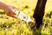 Charger l&#39;image dans la galerie, Mok olie The Natural Way Laura Cleirens, 100 % natuurlijk duurzaam product middel oplossing voor paarden met mok, rasp, regenschurft, rainrot, essentiële oliën, korstjes kootholte
