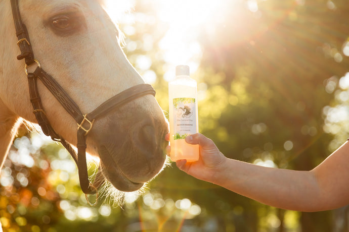 Natuur Shampoo The Natural Way Laura Cleirens, 100 % natuurlijke shampoo voor paarden met jeuk zomereczeem mok CPL, aloë vera en etherische olie, duurzaam en huidvriendelijk, alle huidtypes, gevoelige huid