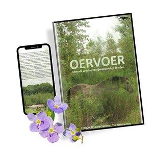 OERVOER (E-BOOK)