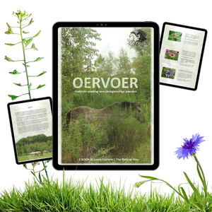 OERVOER (E-BOOK)