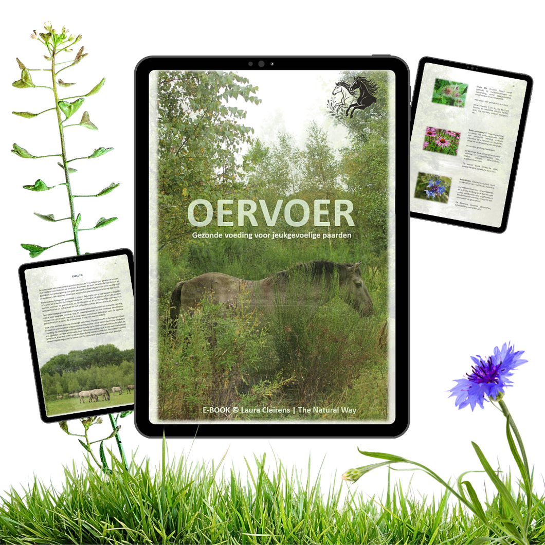 OERVOER (E-BOOK)