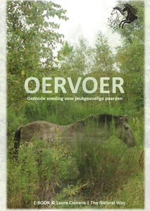 OERVOER (E-BOOK)
