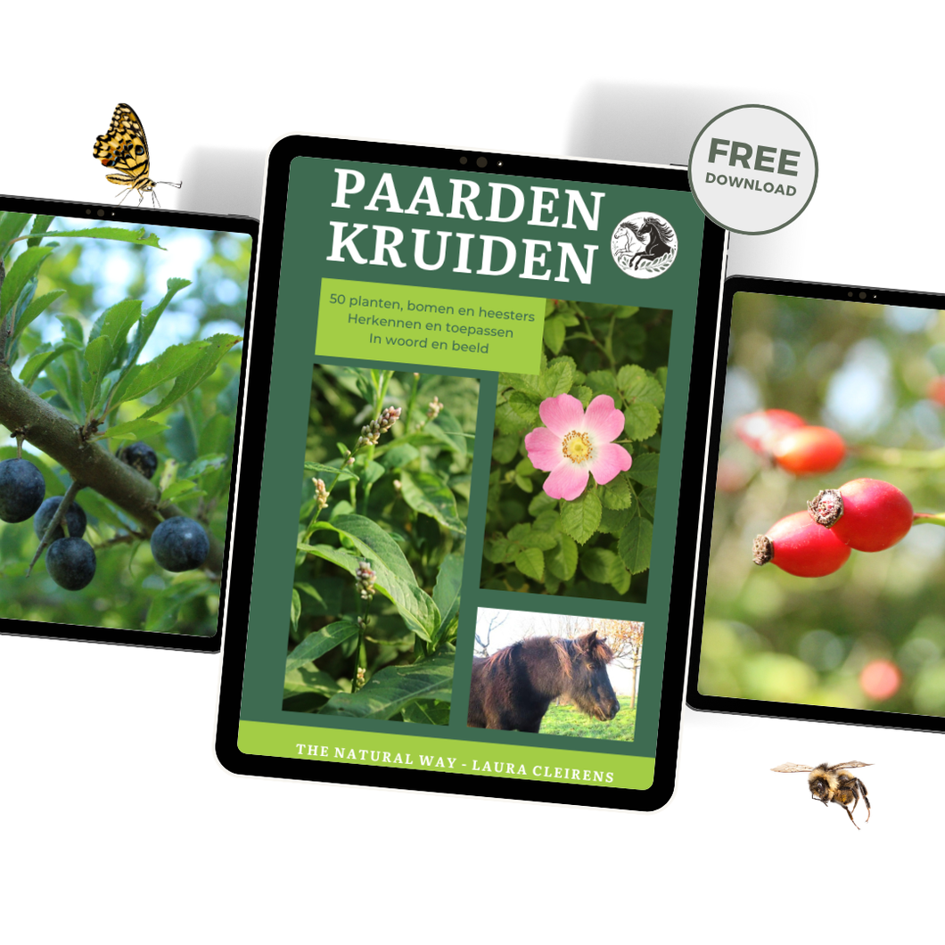 PAARDENKRUIDEN (E-BOOK)