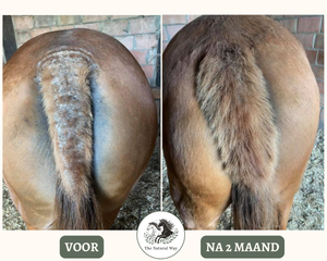 Zomereczeem lotion The Natural Way Laura Cleirens 100 % natuurlijk product duurzaam Zomereczeem schuren jeuk paard manen en staart eczeem SME